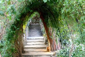Parque Güell: Un Tesoro Emblemático de España en Barcelona